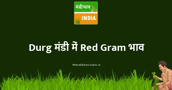 Red Gram भाव